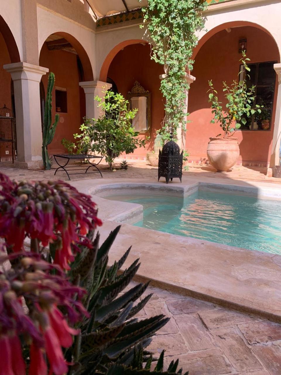 Riad Chant D'Etoiles Tadighoust El Hara Экстерьер фото